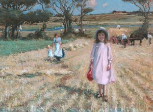 Across the Cornfield