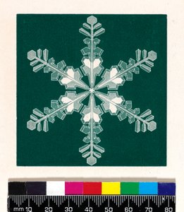 Snow Crystals by Cecilia Glaisher