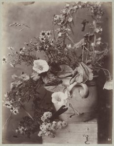 Flower Study with Cologne Pot on Chest