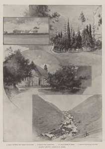 Cronje