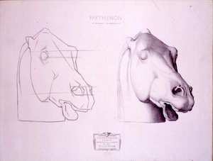 Horse Head from the West Pediment of the Parthenon, Plate 47 from Cours de Dessin by Charles Bargue
