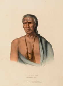 LAP-PA-WIN-SOE. A DELAWARE CHIEF., from History of the Indian Tribes of North America