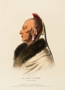 The Soldier of the Oak, an Osage Chief, from History of the Indian Tribes of North America