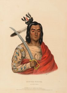 Mon-ka-ush-ka, a Sioux Chief, from History of the Indian Tribes of North America by Charles Bird King