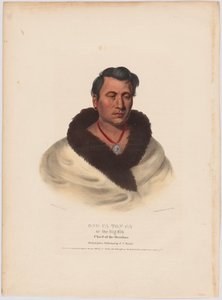 Ong-pa-ton-ga by Charles Bird King