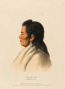 SHA-HA-KA, A Mandan Chief