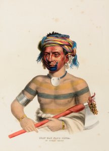 Shau-Hau-Napo-Tinta, an Ioway Chief