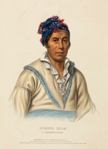 Spring Frog, a Cherokee Chief, from History of the Indian Tribes of North America