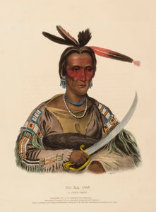 TO-KA-CON, A SIOUX CHIEF, from History of the Indian Tribes of North America by Charles Bird King