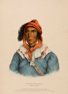 Tulcee-Mathla, a Seminole Chief, from History of the Indian Tribes of North America by Charles Bird King