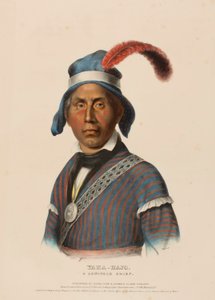 YAHA-HAJO, a Seminole Chief, from History of the Indian Tribes of North America by Charles Bird King