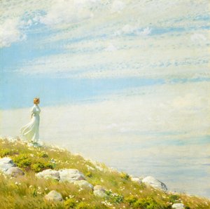 A Breezy Day