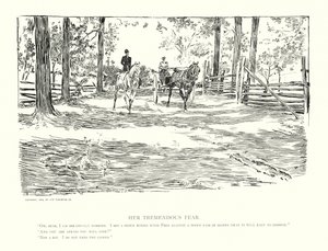 Her Tremendous Fear by Charles Dana Gibson
