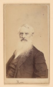 Samuel F. B. Morse by Charles DeForest Fredricks
