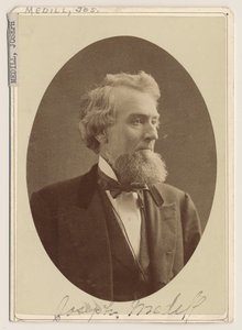 Portrait of Joseph Medill, c.1876