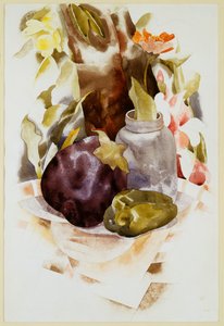 Eggplant and Green Pepper
