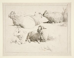 Sheep at Pasture