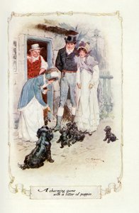 A Charming Game with a Litter of Puppies