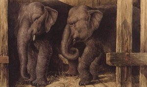Two Elephants by Charles Edward Brittan