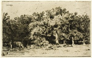 A Part of the Forest of Fontainebleau by Charles Emile Jacque