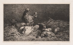 Chickens Poutes