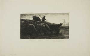 Herd of Cows at the Feeding Trough