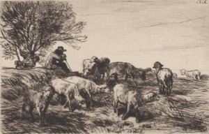Herd of Sheep