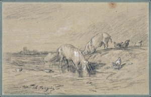Herd of Pigs