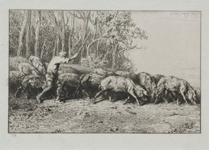 Herd of Pigs Leaving a Wood