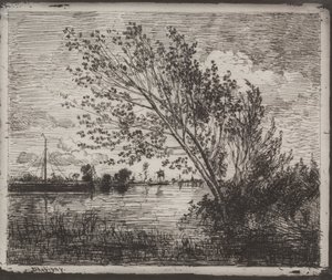 A Cluster of Alders