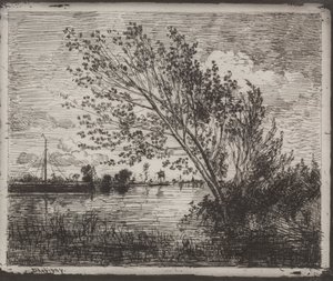 A Cluster of Alders