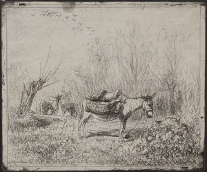 A Donkey in the Field by Charles Francois Daubigny