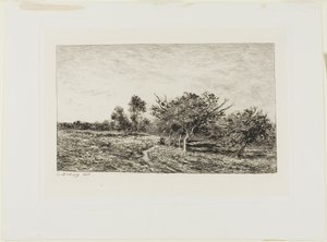 Apple Trees at Auvers