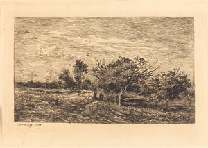 Apple Trees in Auvers
