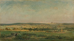 Grain Harvest
