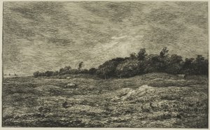 The Meadow of Graves at Villerville (Calvados)