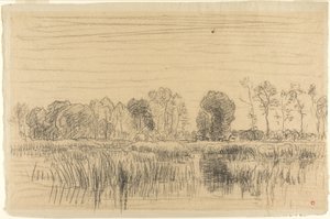 Marsh and Screen of Trees