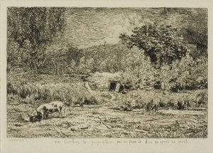 Pig in an Orchard