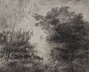 Stags, original impression 1862, printed in 1921 by Charles Francois Daubigny