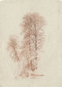 Study of Two Slender and Some Smaller Trees in Leaf by Charles Francois Daubigny