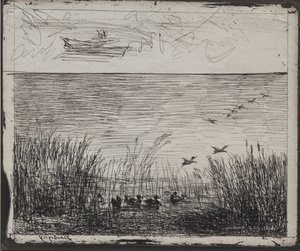 Swamp with Ducks by Charles Francois Daubigny