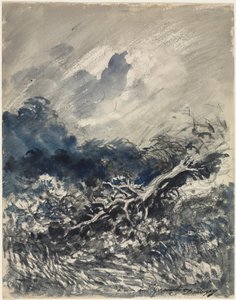 The Oak Tree and the Reed, c. 1873 by Charles Francois Daubigny