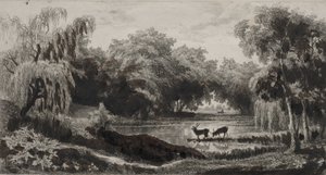 The Pool with Stags by Charles Francois Daubigny