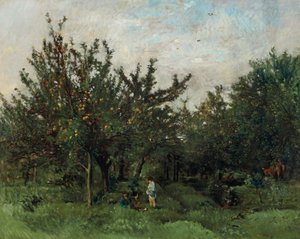 An Apple Orchard