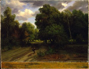 The Crossroads of the Eagle’s Nest, Fontainebleau Forest