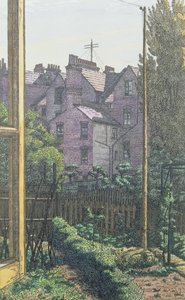 A London Back Garden