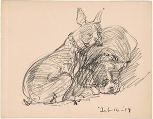 Two Dogs