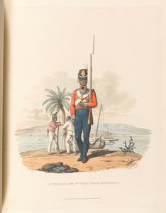 A Private of the 5th West India Regiment by Charles Hamilton (after) Smith