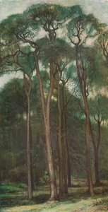 Study of Trees