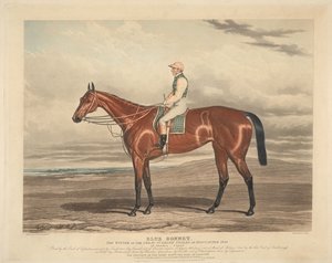Racing: Blue Bonnet. The Winner of the Great St. Leger Stakes at Doncaster 1842 by Charles Hunt